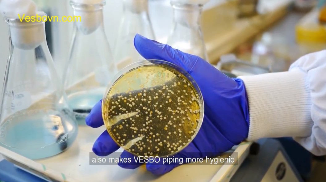 Giới thiệu ống nước kháng khuẩn Vesbo với Biocote